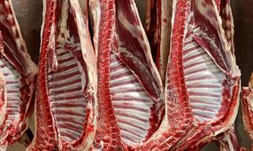 فاجعه‌ای تازه در بازار گوشت قرمز/ بحران قیمت در راه است!