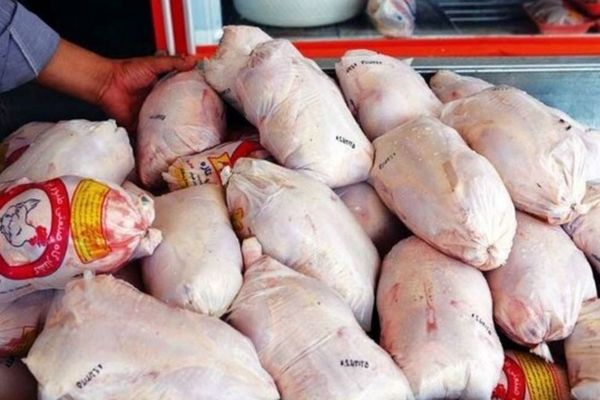 مرغ ارزان به بازار آمد! فقط ۱۲۵ هزار تومان از این مراکز بخرید