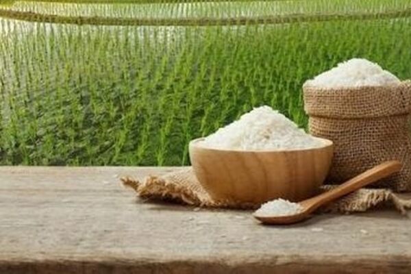 شوک به سفره ایرانی‌ها؛ قیمت برنج هاشمی و طارم در بازار چقدر شد؟