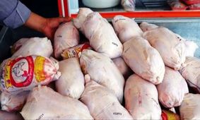 قیمت مرغ اوج گرفت!
