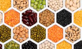 کاهش شدید قیمت لوبیا چیتی در مهر 1404 / تغییرات قیمت حبوبات را بخوانید