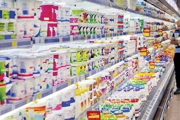 گرانی شدید لبنیات: قیمت شیر هر روز بیشتر از دیروز!