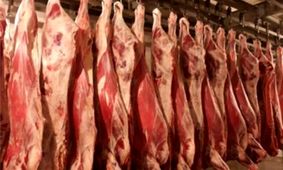 قیمت گوشت قرمز امروز 29 مهر 1404 + جدول