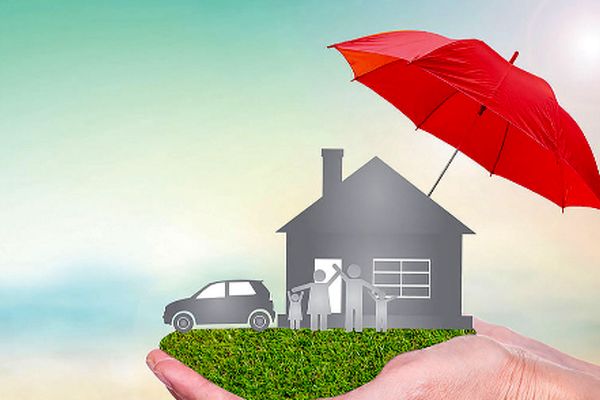 خبر خوش دولت/ بیمه رایگان برای این گروه تصویب شد!