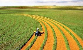 ۱۷ درصد درآمد‌های غیرنفتی زحمت کشاورزان است