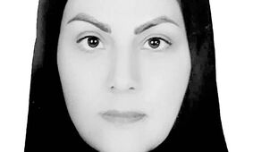  سبد سیاستی کنترل تورم 