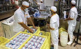 اعلام قیمت‌های تازه شیرخام و مرغ / آیا لبنیات دوباره گران خواهد شد؟