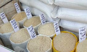 افشاگری قزلجه درباره افزایش ناگهانی قیمت برنج ایرانی