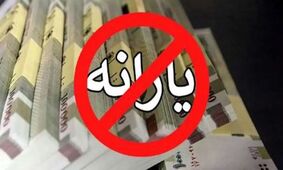 قطع یارانه 8 میلیون نفر/ جزئیات حذف 16 میلیون نفر دیگر