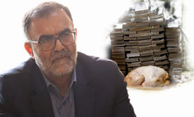 دولت باید تصمیم بگیرد که پول رایج کشور ریال است یا دلار؟! 