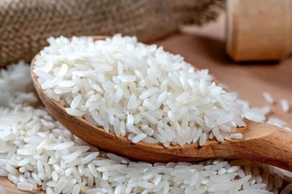 قیمت جدید انواع برنج در بازار / کیسه ۱۰ کیلویی برنج هاشمی درجه یک چند ؟!