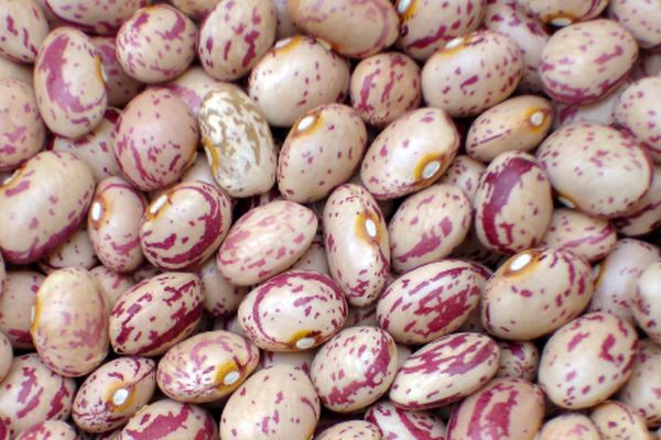 خوراک لوبیا با طعم گرانی / هزینه یک ماه خانواده فقط برای  مصرف خوراک  لوبیا چقدر می شود؟