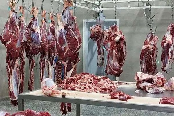 قیمت گوشت قرمز امروز 1 آبان 1404  مشخص شد