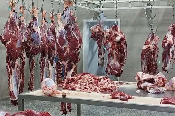 قیمت گوشت قرمز امروز 1 آبان 1404  مشخص شد
