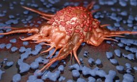 ساخت نانوربات‌هایی از DNA که می‌توانند به مبارزه با سرطان کمک کنند
