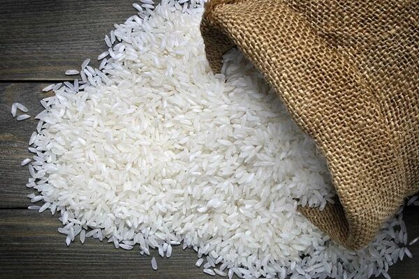 برنج عنبربو، هاشمی، دم سیاه، شیرودی و...کیلویی چند شد؟ 