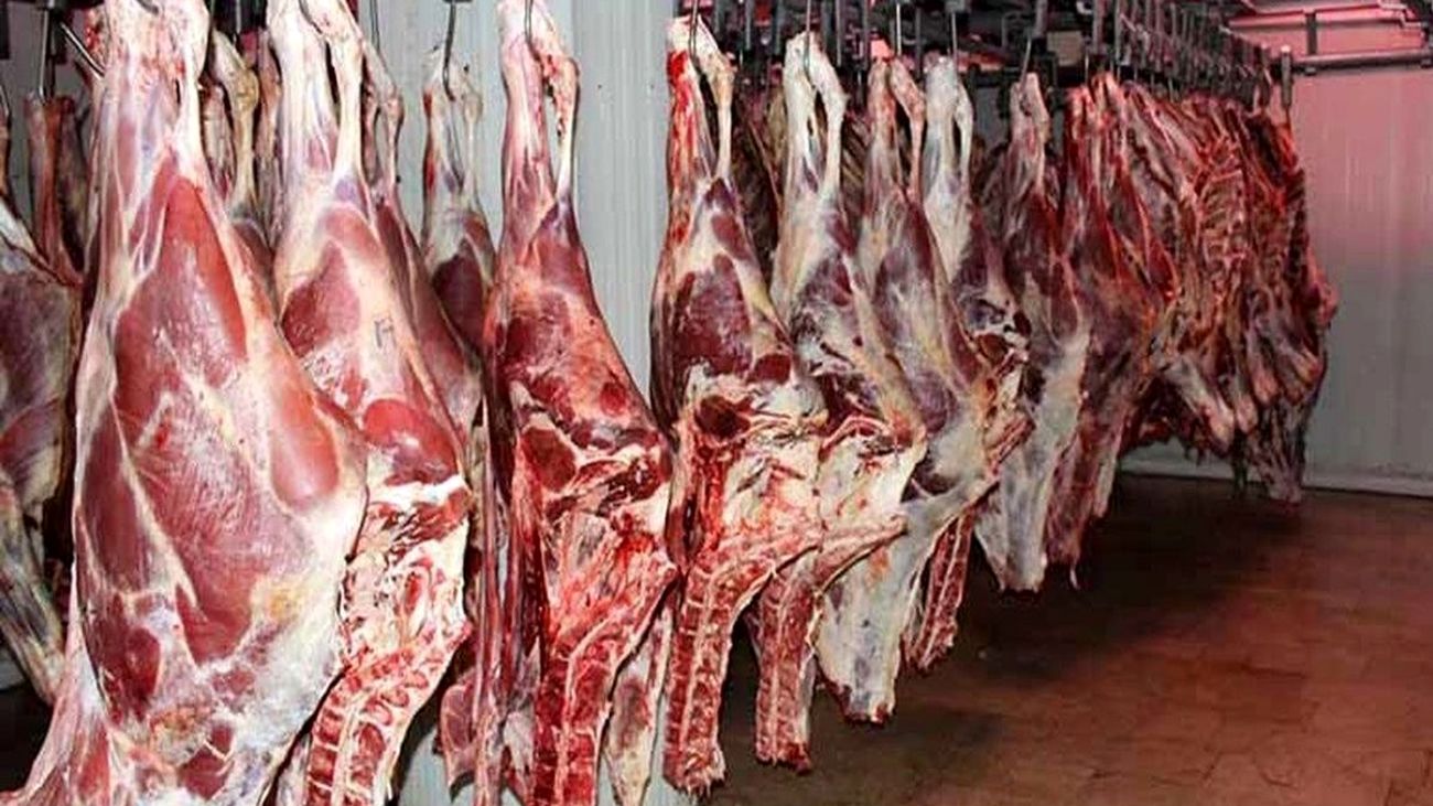 چرا قیمت گوشت پایین نمیآید؟ + فیلم