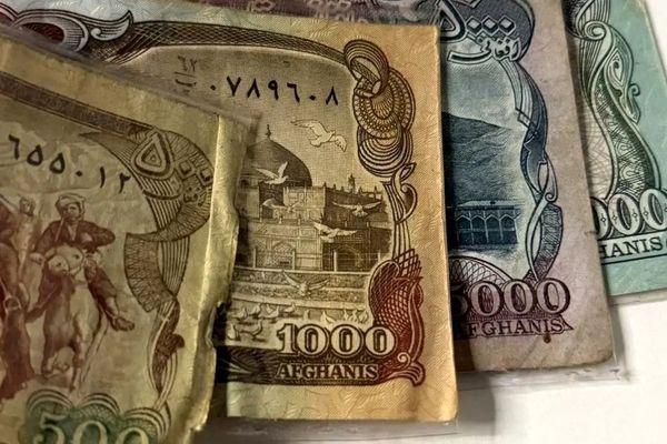 قیمت افغانی امروز دوشنبه 27 بهمن ۱۴۰۴