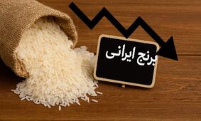 قیمت برنج ایرانی نزدیک به ۴۰۰ هزار تومان رسید