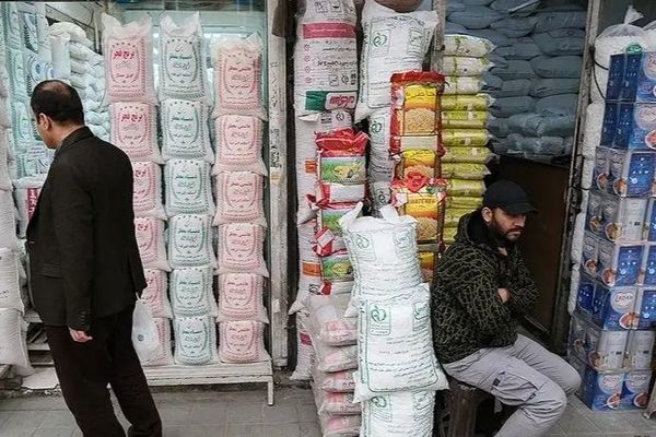 قیمت جدید برنج ایرانی مشخص شد