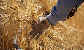 خبر خوش برای این افراد / حسابتان شارژ شد
