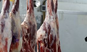 قیمت روز گوشت قرمز 5 شهریور 1404 + جدول