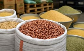 اطلاعیه مهم درباره قیمت لوبیا چیتی + جزئیات