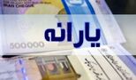 جزئیات روش جدید شناسایی مشمولان یارانه و کالابرگ اعلام شد