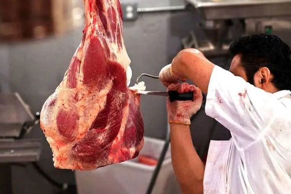 شوک بزرگ به بازار گوشت / قیمت جدید گوشت قرمز اعلام شد + جدول
