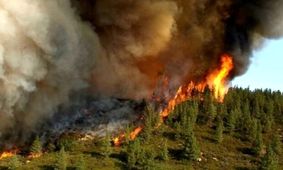 ۳۰ هکتار از باغات زیتون و پسته کرمانشاه در آتش سوخت