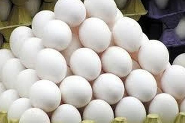 شوک قیمتی به بازار مواد غذایی/ تخم‌مرغ به مرز ۳۰۰ هزار تومان رسید!