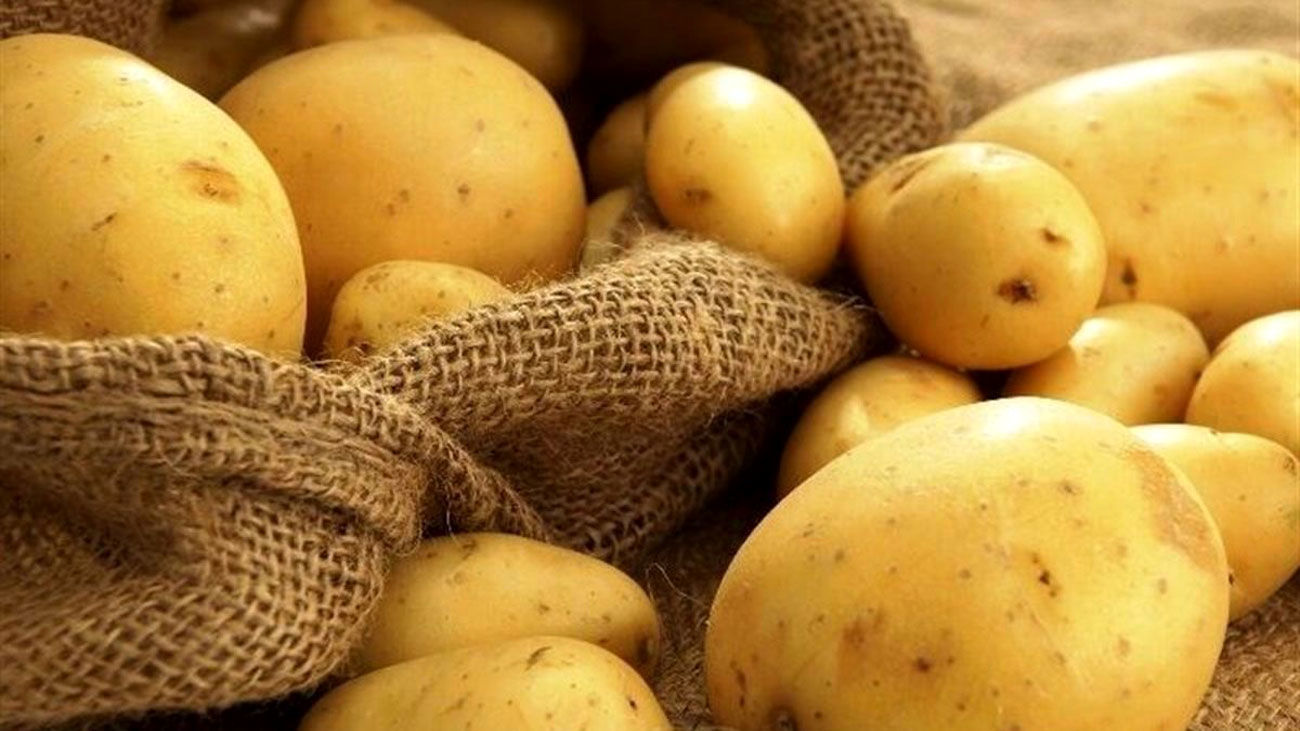سیب زمینی به سبد خرید کارگران باز می گردد