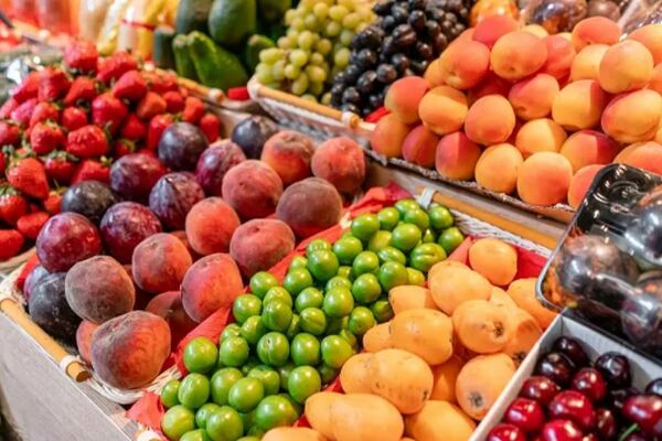 شوک به صادرات کشاورزی ایران؛ ماجرای ۲۰۰ کانتینر برگشتی چیست؟