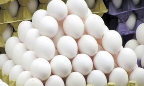 قطعی برق و تاثیر آن بر قیمت تخم‌مرغ!