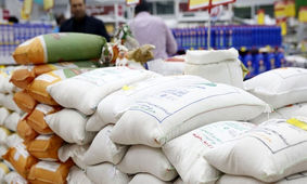 رازهای پشت پرده گرانی برنج/ آیا احتکار و واردات مشکوک عامل اصلی هستند؟