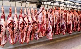 قیمت گوشت قرمز امروز ۹ فروردین۱۴۰۴ / راسته گوساله و گوسفندی چند؟ +جدول